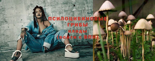 гидропоника Армянск